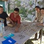 Sorting sherds